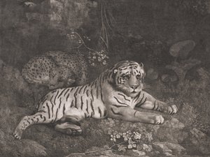 Una tigre e un leopardo addormentato da George Stubbs
